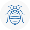 Bed Bug Extermination In Macclesfield